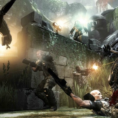 1920 x 1080 HD Wallpapers 3503